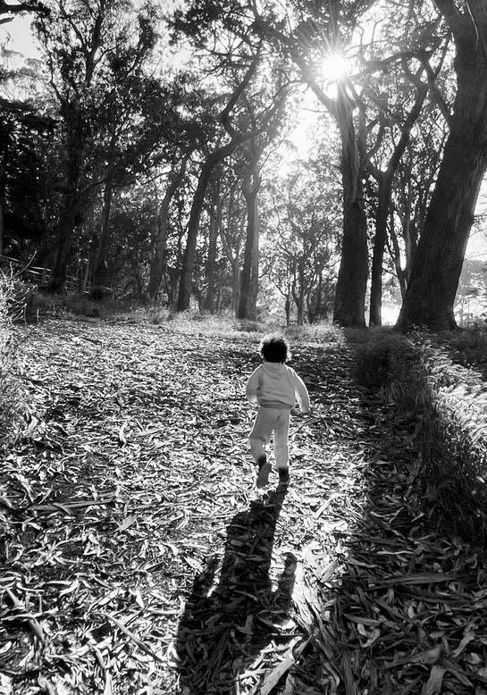 A young child running down a eucalyptus-lined trail toward the low sun